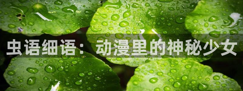 囧次元官方下载正版