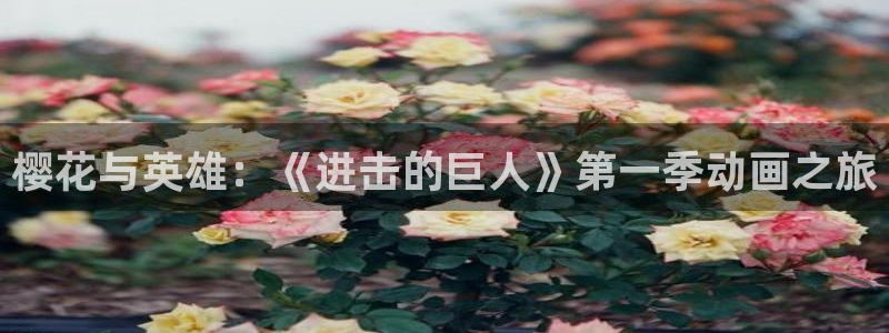 囧次元下载官方正版最新版
